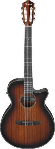 Электроакустическая гитара IBANEZ AEG74N-MHS фото 1