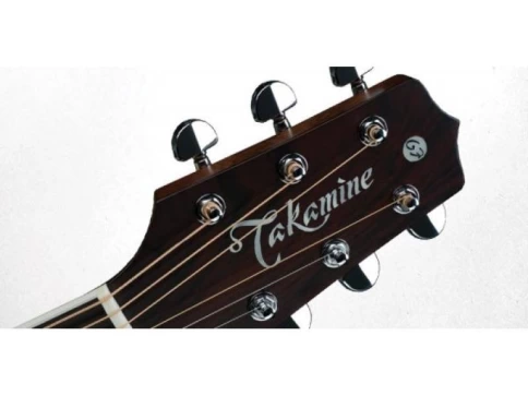 Электроакустическая гитара TAKAMINE ARTIST EF360GF GLENN FREY SIGNATURE фото 2