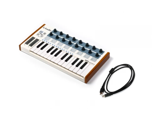 MIDI-контроллер LAudio Worldemini, 25 клавиш фото 4