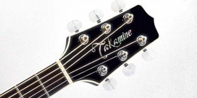 Электроакустическая гитара TAKAMINE ARTIST SW341SC STEVE WARNER SIGNATURE фото 2