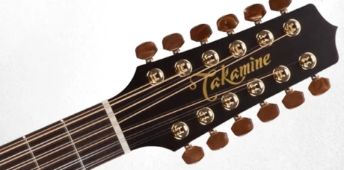 12-струнная электроакустическая гитара TAKAMINE PRO SERIES 3 P3DC-12 фото 1