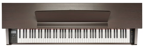 Becker BAP-72R цифровое пианино, цвет палисандр, механика New RHA-3W, деревянные клавиши фото 5