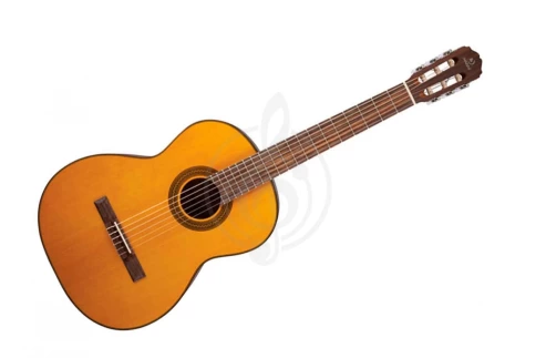 Гитара классическая SOLISTA SG-C1 NT фото 1