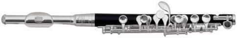 Флейта-пикколо Roy Benson PC-502 (RB700.420) фото 1
