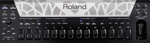 Цифровой аккордеон ROLAND FR-8X BK фото 8