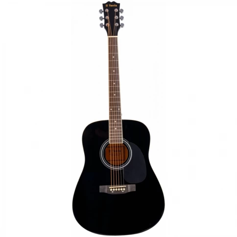 Комплект акустическая гитара TERRIS TD-041 BK Starter Pack фото 2