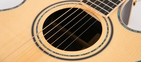 Электроакустическая гитара Parkwood P870 фото 6