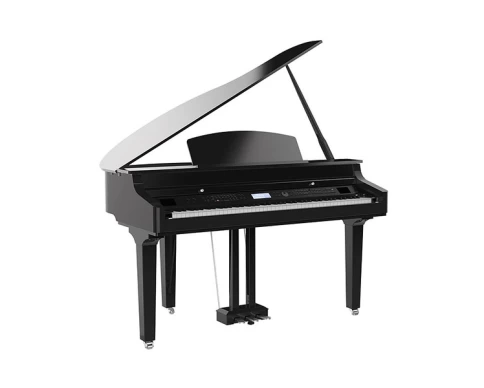 Цифровой рояль Medeli GRAND510(GB) фото 1