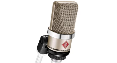 Микрофон конденсаторный студийный Neumann TLM 102 фото 2