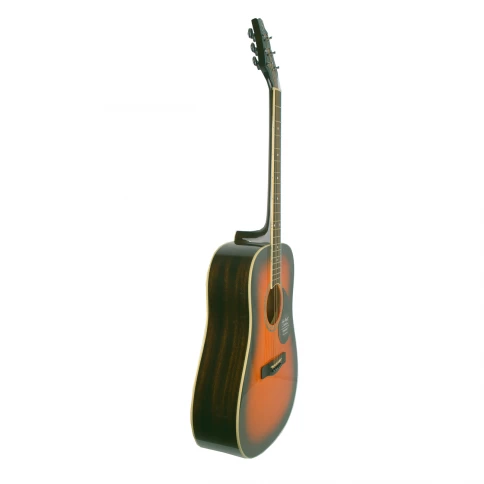 Акустическая гитара GREG BENNETT GD100S/VS фото 2