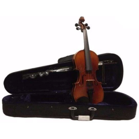 Скрипка в комплекте Hoefner AS-190-V4/4-0 фото 1