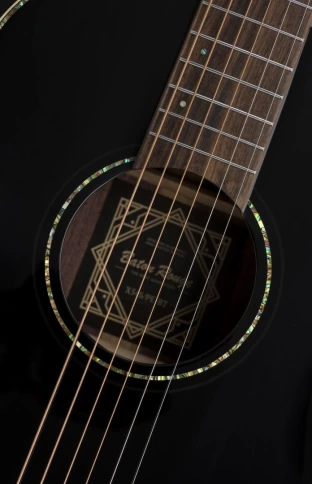 Электроакустическая гитара Baton Rouge X54S/PE-BT фото 5