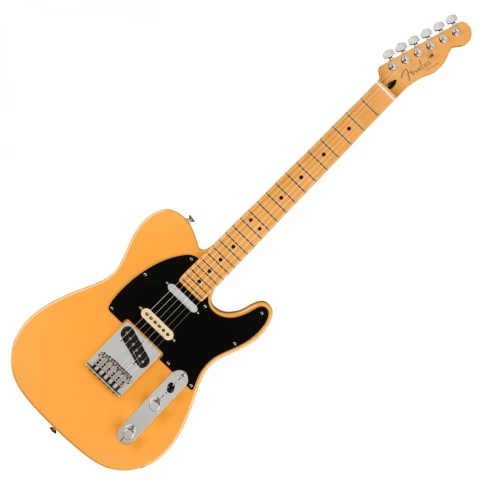 Электрогитара Fender Player Plus Nashville Telecaster MN Butterscotch Blonde фото 1