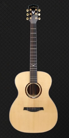 Электроакустическая гитара Parkwood P870TAK-SE-NAT фото 1