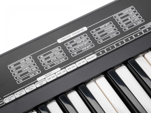 MIDI-контроллер, 61 клавиша Laudio KS61A фото 6