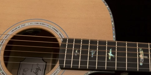 Элекстроакустическая гитара PRS SE AE50E Black Gold с чехлом фото 4
