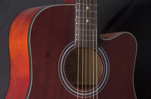 Акустическая гитара Foix FFG-1041MH фото 2
