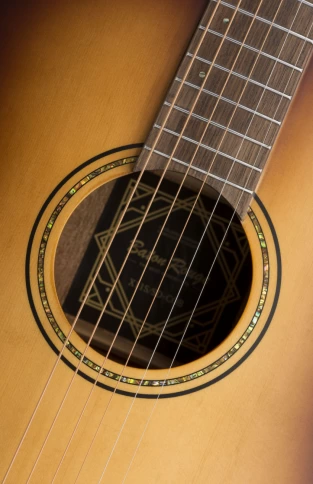 Акустическая гитара Baton Rouge X11S/SD-COB фото 5