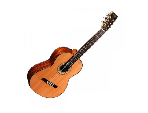 Классическая гитара SIGMA CM-6NF фото 1