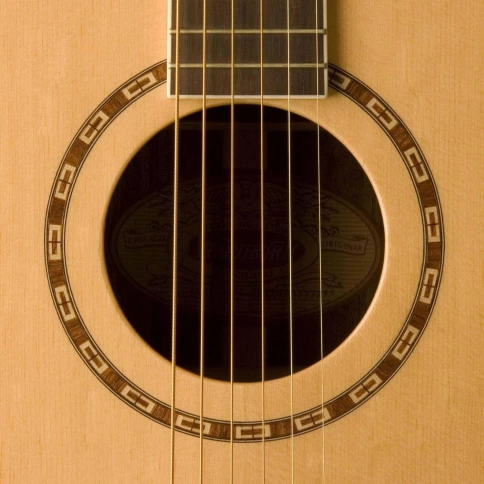Акустическая гитара Washburn WD20S фото 3