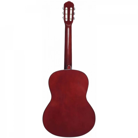 Классическая гитара TERRIS TC-390A NA 4/4, с анкером , цвет натуральный фото 2