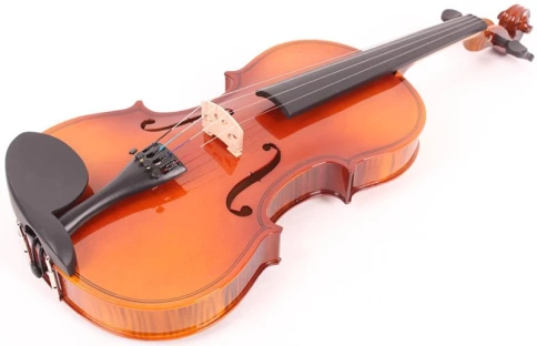 Скрипка Mirra VB-290-4/4 в футляре со смычком фото 1