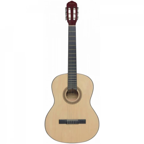Классическая гитара TERRIS TC-390A NA 4/4, с анкером , цвет натуральный фото 1