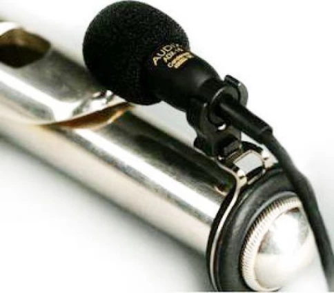 Микрофон для флейты Audix ADX10-FL фото 1