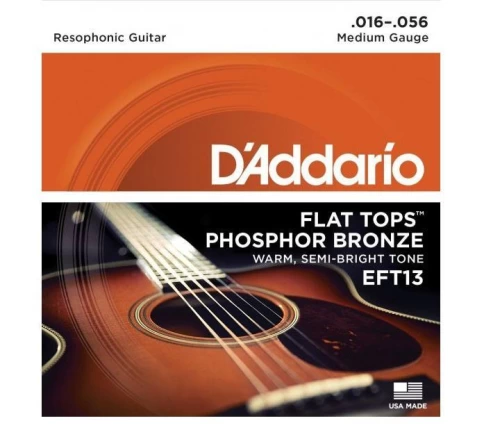 Струны для резонаторной гитары D'addario EFT13 16-56 фото 1