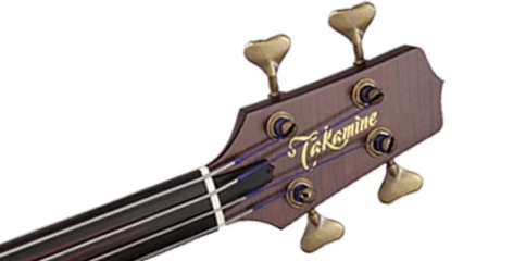 Электроакустическая безладовая бас гитара TAKAMINE LEGACY TB10 фото 2