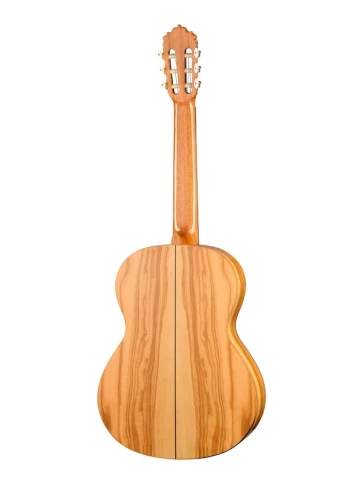 Классическая гитара Alhambra 8.890V Classical Conservatory 6 Olivo фото 2