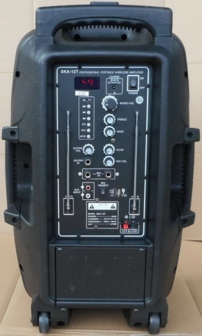 Акустическая система с радиомикрофонами HL Audio SKA-12T фото 2
