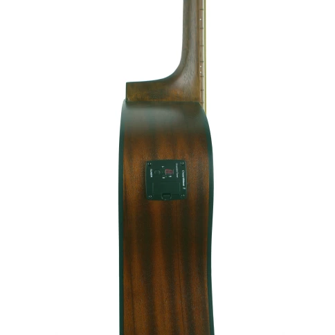 Акустическая гитара GREG BENNETT GD50T/OPN фото 2