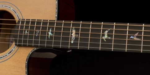 Элекстроакустическая гитара PRS SE AE50E Black Gold с чехлом фото 2