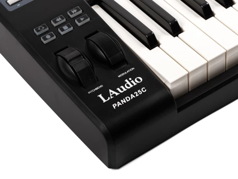 MIDI-контроллер LAudio Panda-25C, 25 клавиш фото 5