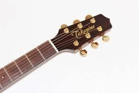 Электроакустическая гитара TAKAMINE PRO SERIES 5 P5DC фото 2