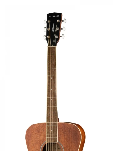 Акустическая гитара с чехлом Parkwood PF51M-WBAG-OP фото 3