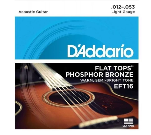 Струны для акустической гитары D'addario EFT16 12-53 фото 1