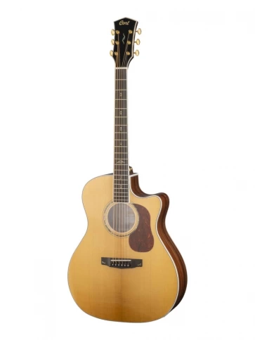 Электро-акустическая гитара Cort Gold A8 WCASE NAT фото 1