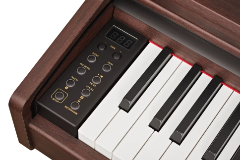 Becker BDP-92R, цифровое пианино, цвет палисандр, клавиатура 88 клавиш с молоточками фото 4