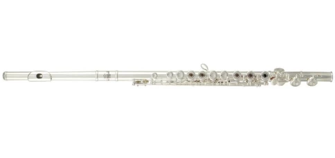 Флейта RoyBenson FL-402R (RB700.407) фото 1