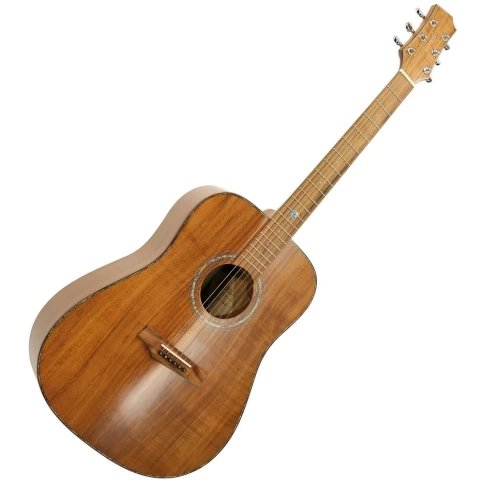 Акустическая гитара RANDON RGI-500 фото 1