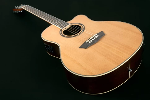 Электроакустическая гитара Washburn AG70CE фото 6