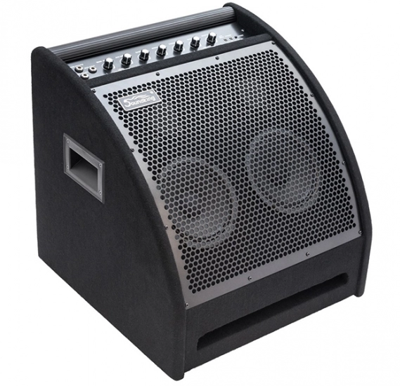 Монитор для электронных ударных установок Soundking DS200 фото 1