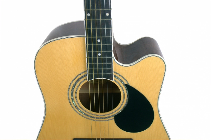 Акустическая гитара GREG BENNETT GD100SCN фото 2