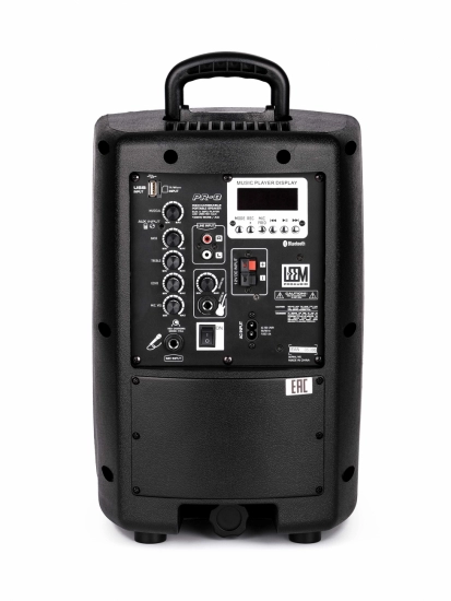 Акустическая система c радиомикрофоном и аккумулятором Leem PR-8 фото 5