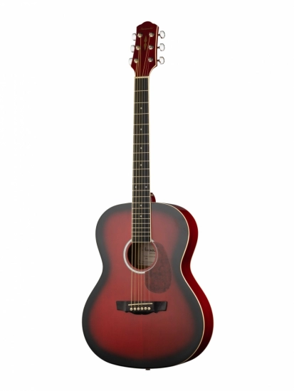 Акустическая гитара Naranda CAG280RDS фолк фото 1