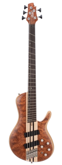 5-струнная бас-гитара Cort A5 Beyond WCASE OPBN Artisan Series фото 1