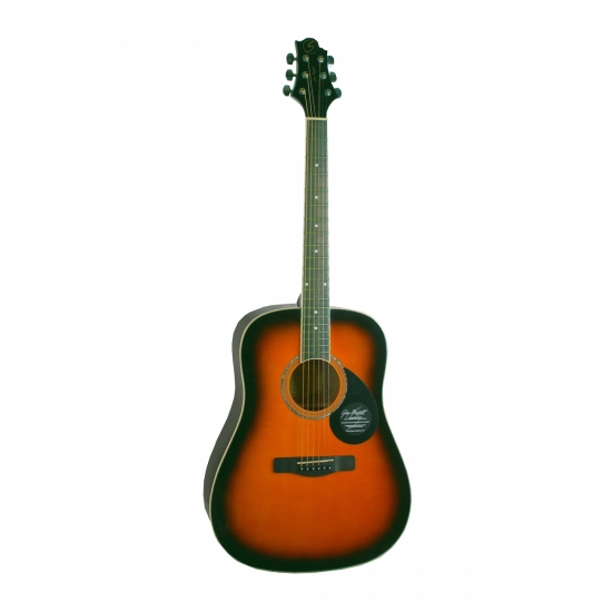 Акустическая гитара GREG BENNETT GD100S/VS фото 1