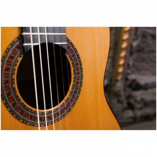PEREZ 640 Cedar - классическая гитара фото 4